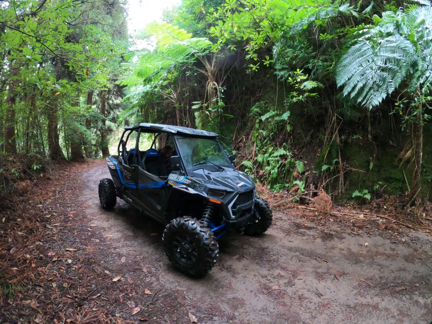 Madeira Private Buggy Adventure: Mountains and Forests - Portela and the Penha d’Águia view