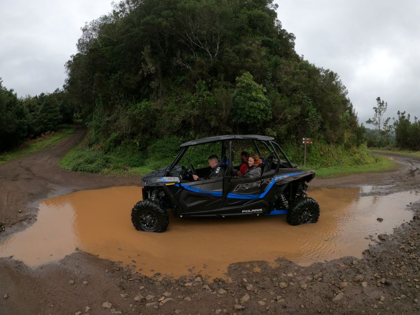 Madeira Private Buggy Adventure: Mountains and Forests - Serra das Funduras and the Laurissilva Forest