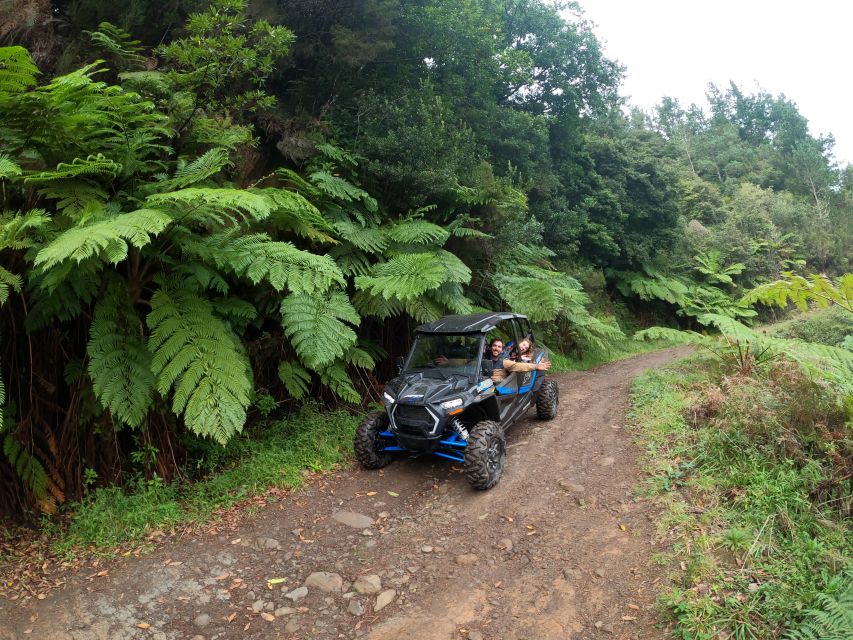 Madeira Private Buggy Adventure: Mountains and Forests - Driving the Polaris RZR XP4