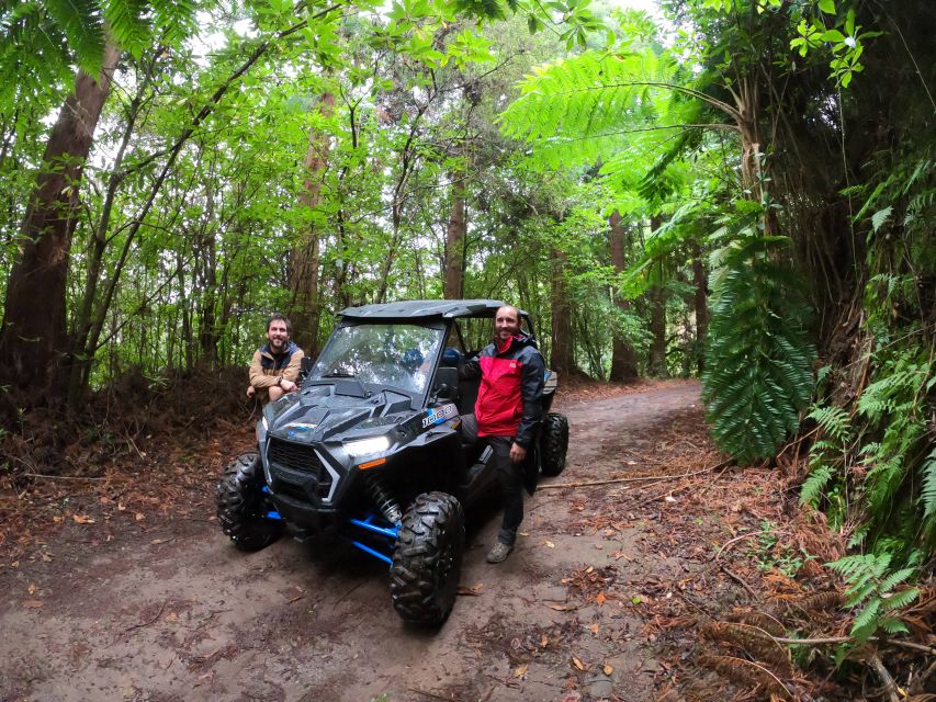 Madeira Private Buggy Adventure: Mountains and Forests - Price, timing, and practical value