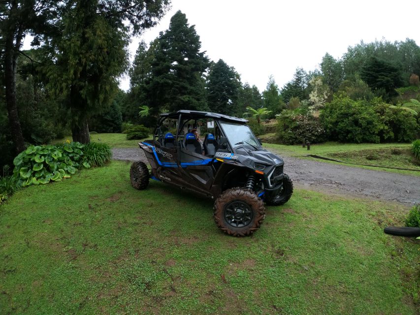 Madeira Private Buggy Adventure: Mountains and Forests - From Funchal to Pico Alto