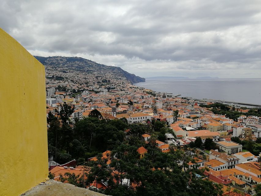 Madeira: Private Funchal City Tour in a Tukxi - Is $47 per person good value?