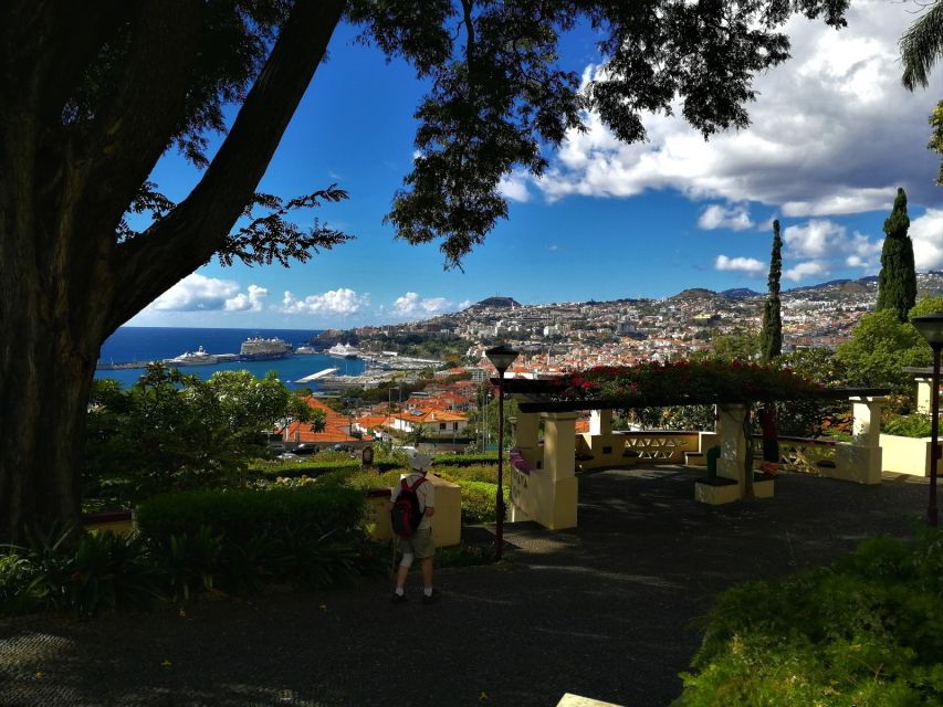 Madeira: Private Funchal City Tour in a Tukxi - Why a Tukxi works so well in Funchal