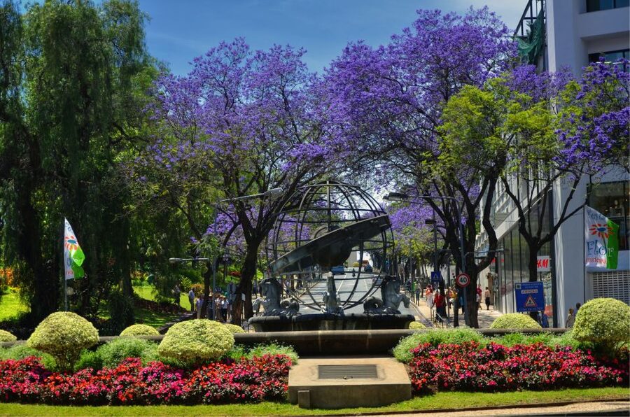 Madeira: Private Funchal City Tour in a Tukxi - Funchal Cathedral and the Municipal Square