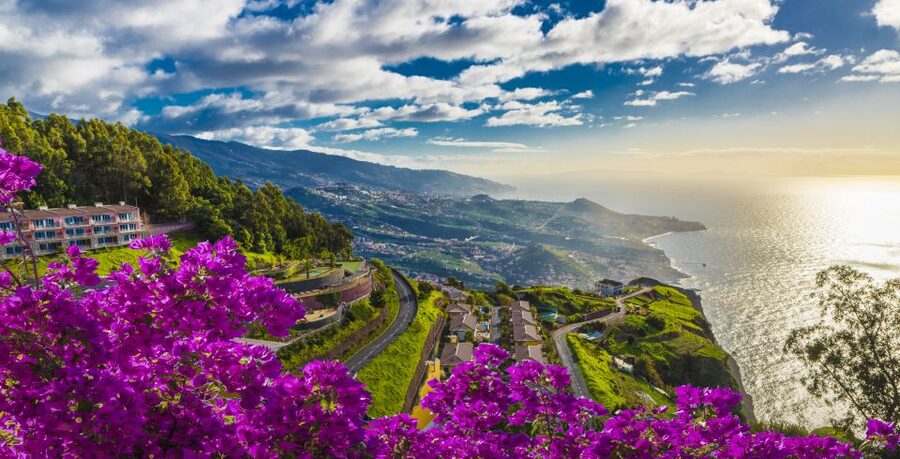 Madeira: Private Guided Cabo Girão Tour - Why this short private tour works well