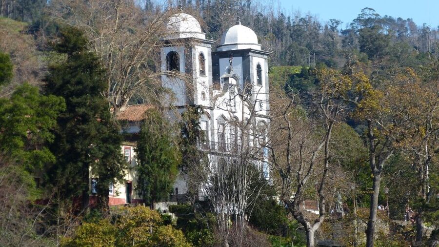 Madeira: Private Monte tour on a Tukxi - Monte Palace Tropical Garden in 30 minutes