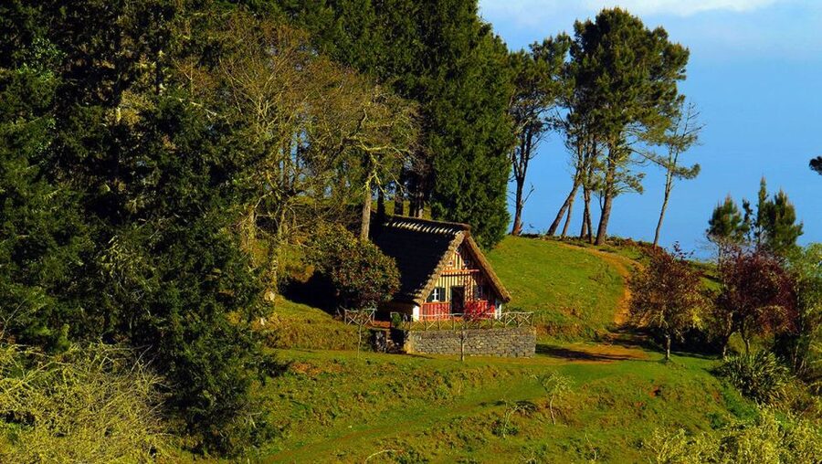 Madeira: Queimadas, Caldeirão Verde and Levada Walk - Key points to know before booking