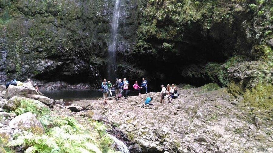 Madeira: Queimadas, Caldeirão Verde and Levada Walk - Should you book the Caldeirão Verde walk?