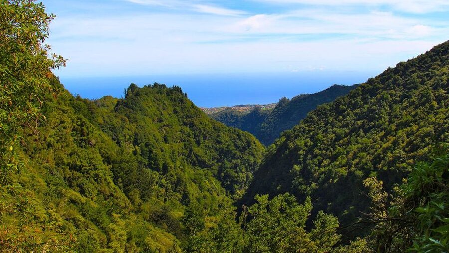 Madeira: Queimadas, Caldeirão Verde and Levada Walk - Starting at Queimadas Guest House