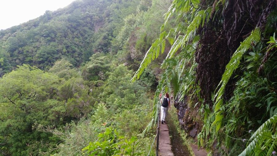 Madeira: Queimadas, Caldeirão Verde and Levada Walk - Why the village views deserve attention