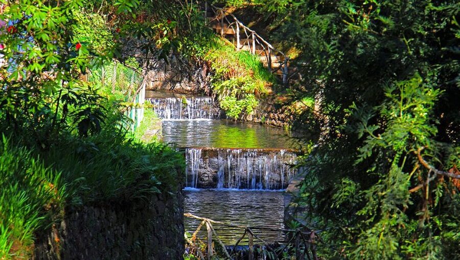 Madeira: Queimadas, Caldeirão Verde and Levada Walk - What the $50 price includes