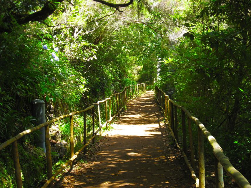 Madeira: Queimadas, Caldeirão Verde and Levada Walk - Practical preparation for a wetter route