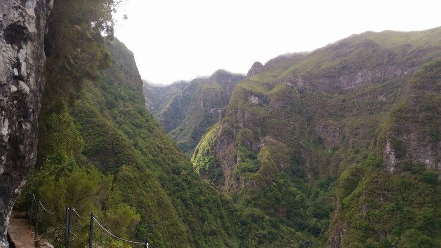 Madeira: Queimadas, Caldeirão Verde and Levada Walk - Flexible booking and language choices