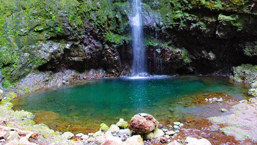 Madeira: Queimadas, Caldeirão Verde and Levada Walk - Following the Levada da Serra de São Jorge