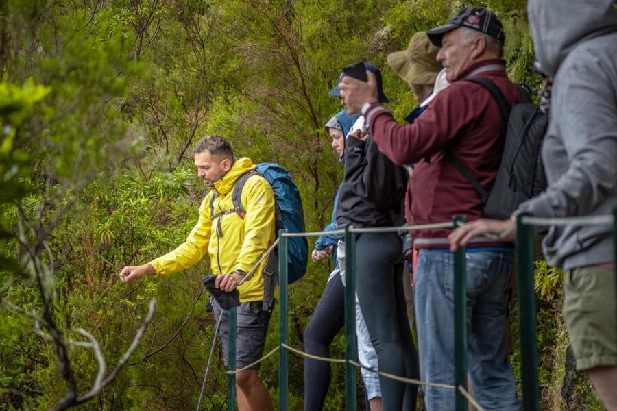Madeira: Rabaçal 25 Fountains Levada Walk & Cabo Girão - What is included, and what will cost extra
