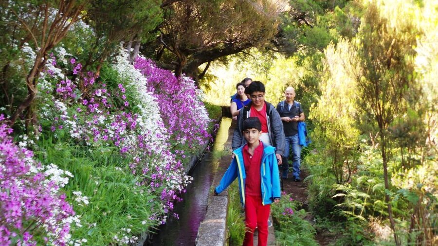 Madeira: Rabaçal 25 Fountains Levada Walk & Cabo Girão - What the three-hour hike feels like
