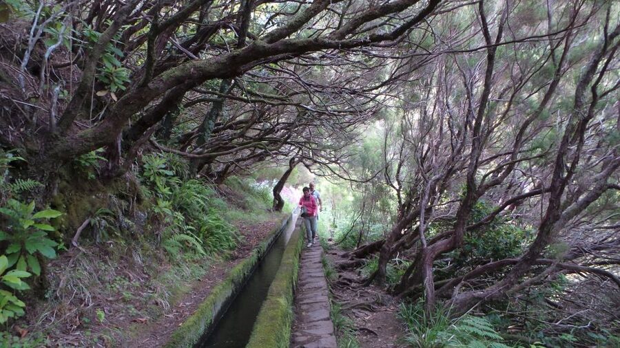 Madeira: Rabaçal 25 Fountains Levada Walk & Cabo Girão - How the guides shape the day