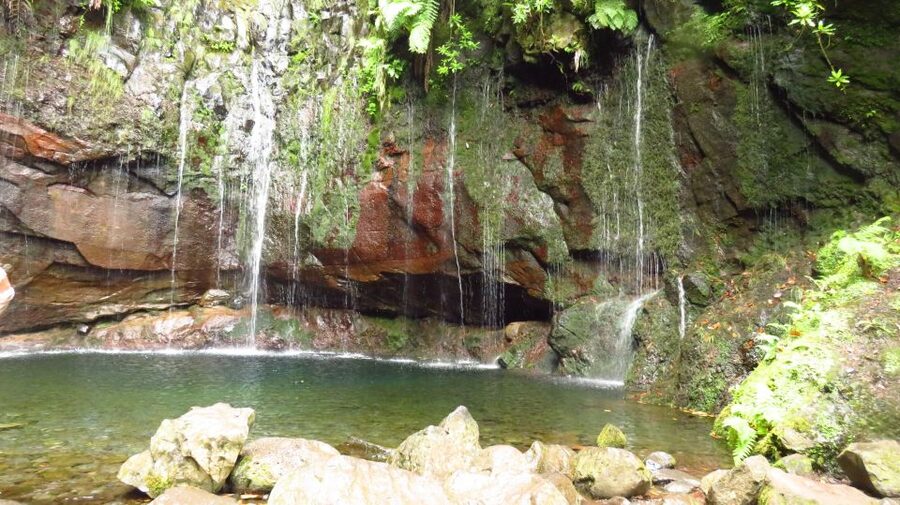 Madeira: Rabaçal, Risco and 25 Fontes Guided Hiking Tour - Key points to know before you go