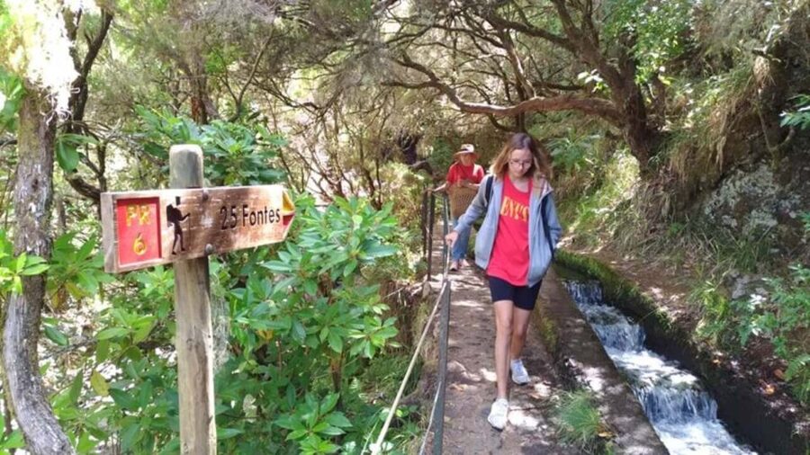 Madeira: Rabaçal, Risco and 25 Fontes Guided Hiking Tour - What the day looks like from pickup to return