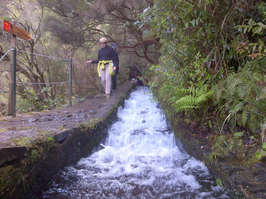 Madeira: Rabaçal Valleys 3-Hour Guided Walk - Following The Levadas Through Laurisilva