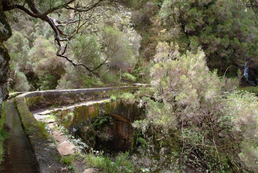 Madeira: Rabaçal Valleys 3-Hour Guided Walk - Waterfalls, Springs, And Valley Views