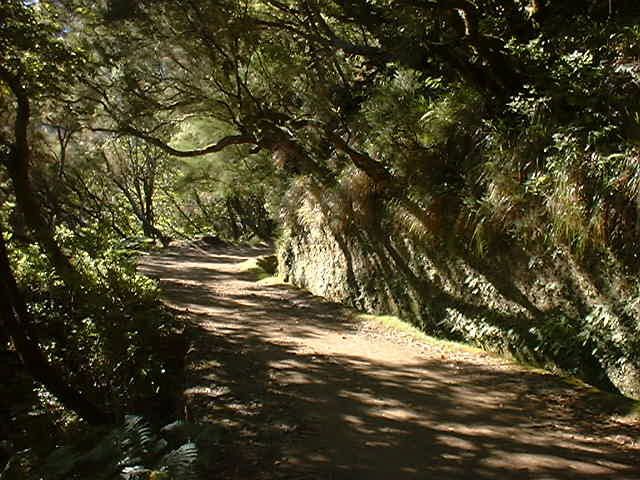 Madeira: Rabaçal Valleys 3-Hour Guided Walk - What The Timing Really Means
