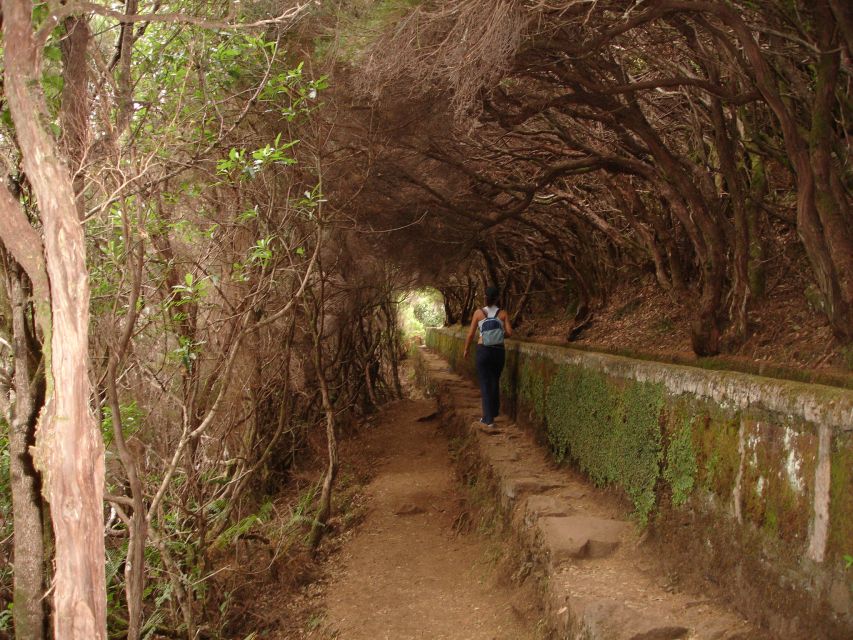 Madeira: Rabaçal Valleys 3-Hour Guided Walk - The Guide Makes The Forest Easier To Read