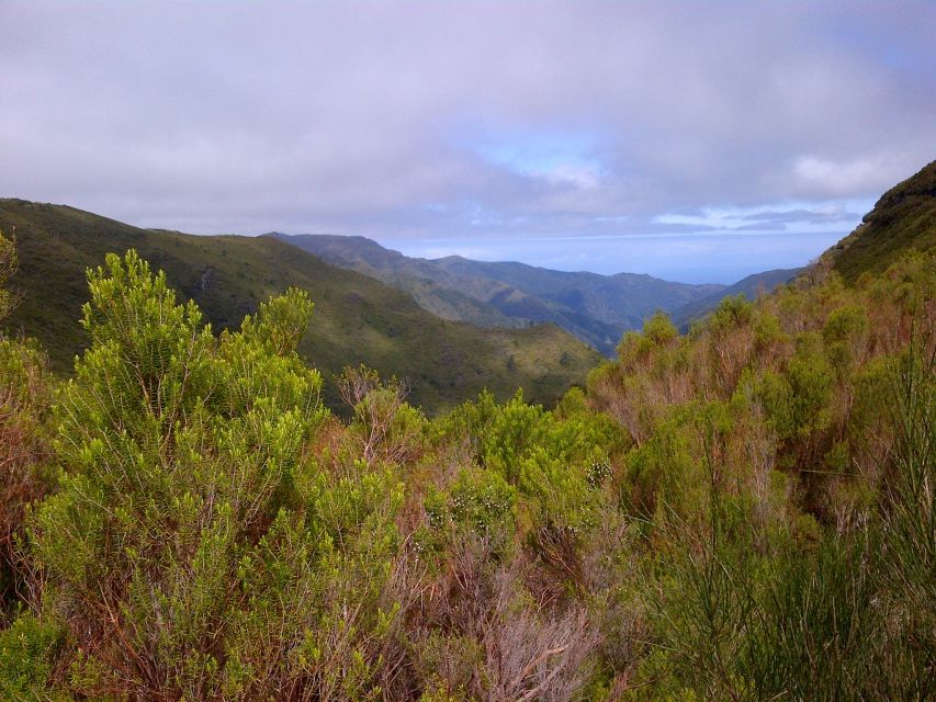 Madeira: Rabaçal Valleys 3-Hour Guided Walk - Starting With Madeira’s Mountain Vegetation