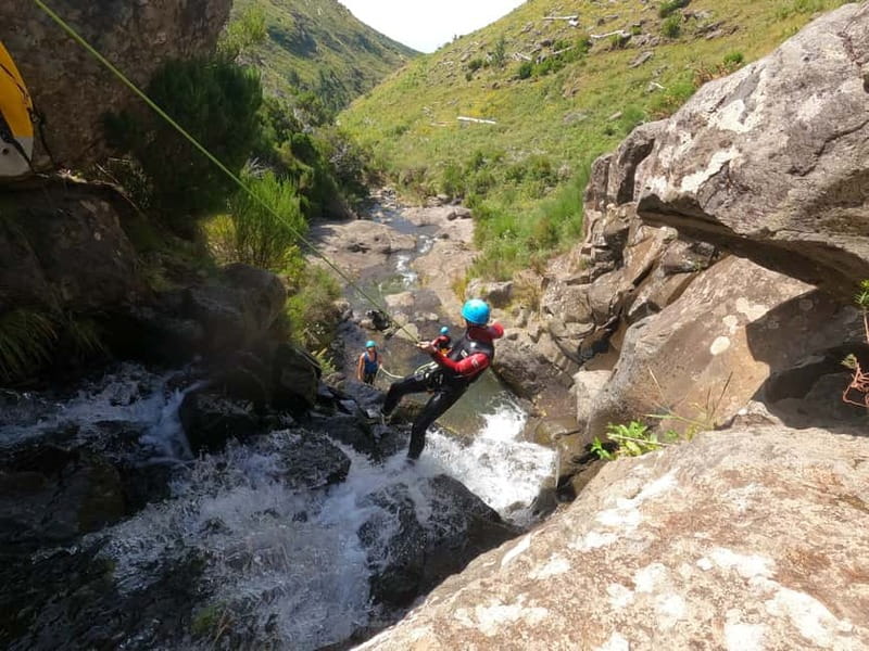 Madeira : Ribeira das Cales Canyoning (Level 1) - Clear water, optional jumps, and natural slides