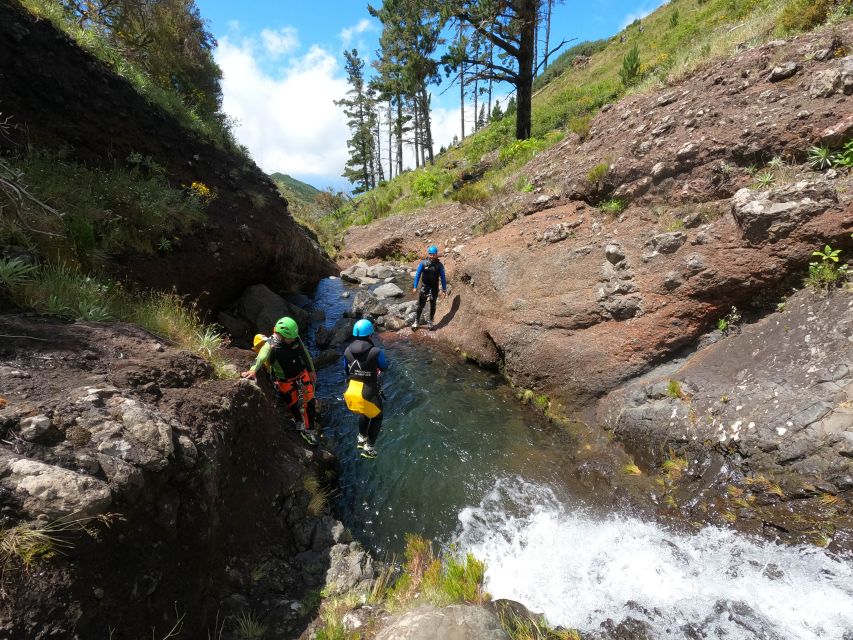 Madeira : Ribeira das Cales Canyoning (Level 1) - Is $80 a fair price?