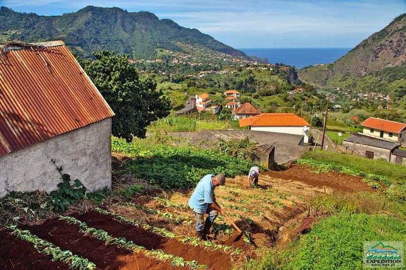 Madeira: Santana Jeep Safari and Balções Levada Walk - Is $71 good value for Madeira?