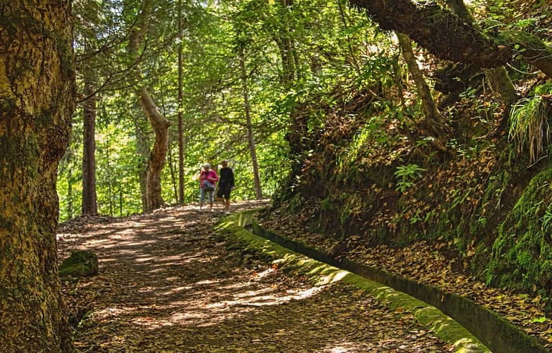 Madeira: Santana Jeep Safari and Balções Levada Walk - Faial and the changing views of the north