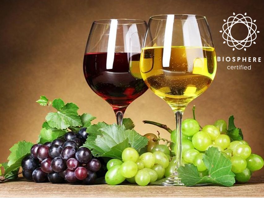 Madeira: Signature Wine Tasting, Skywalk & Nature Expedition - What the $104 price really buys you