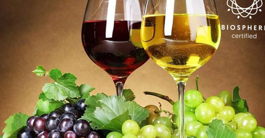 Madeira: Signature Wine Tasting, Skywalk & Nature Expedition - Why this Madeira day works so well