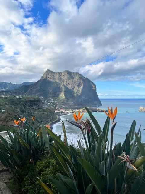 Madeira Stairway to Heaven to Larano Hike Mountain to Sea - Key points at a glance