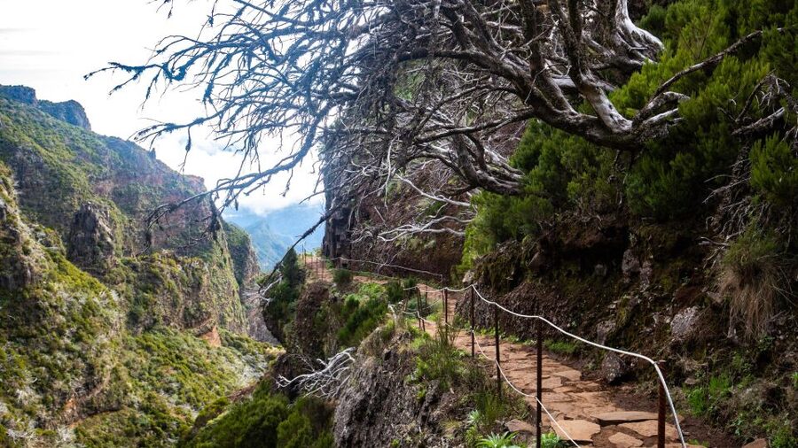 Madeira Stairway to Heaven to Larano Hike Mountain to Sea - Vereda do Larano, where the sea stays beside you