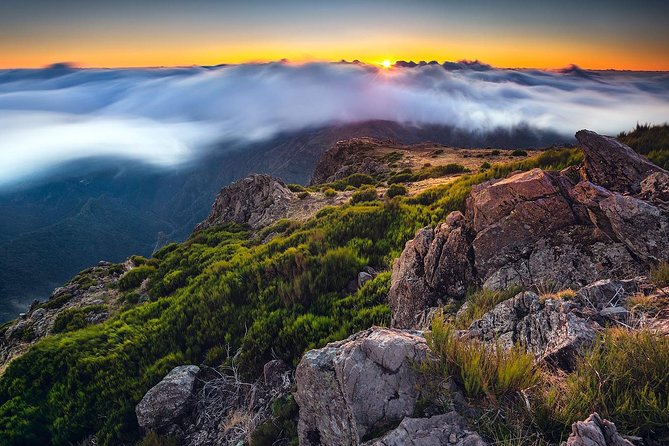 Madeira Top Sunrise - The guide’s role is the biggest strength