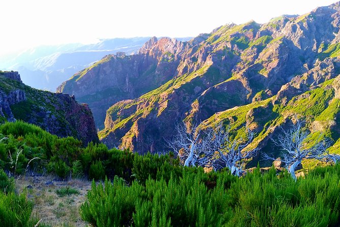 Madeira Top Sunrise - A small group makes the climb more personal