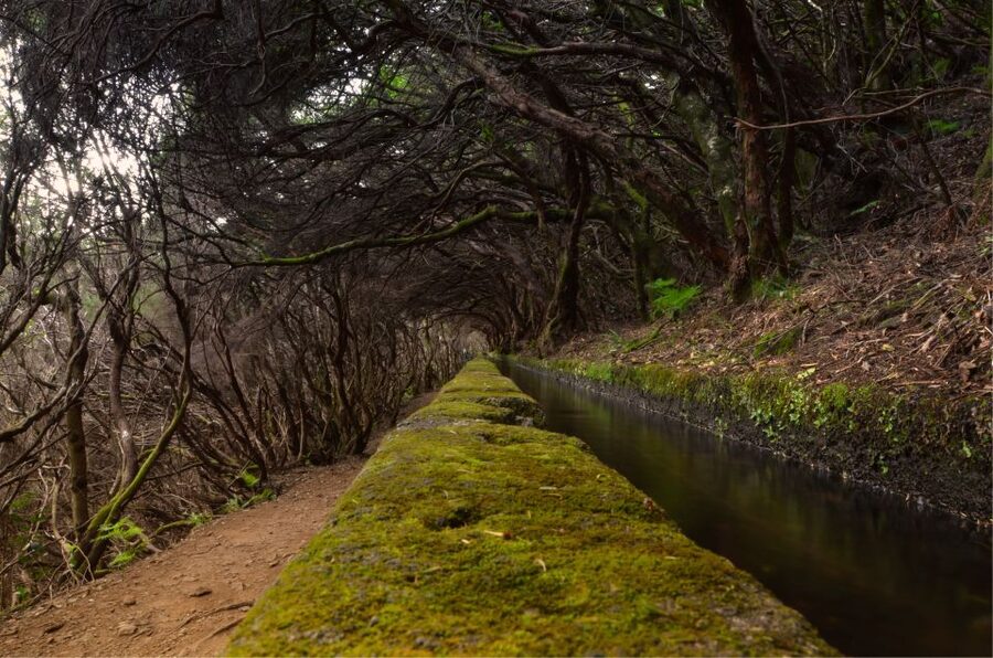 Madeira Walks - Rabaçal and the 25 Fountains - Key points to know before you book