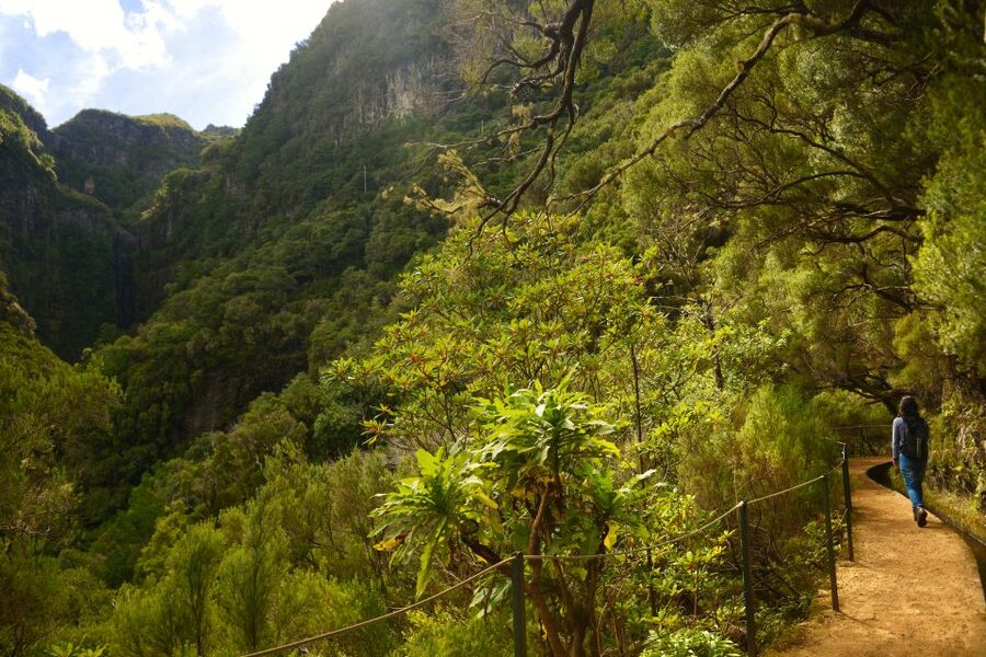 Madeira Walks - Rabaçal and the 25 Fountains - Why Rabaçal is worth a full day