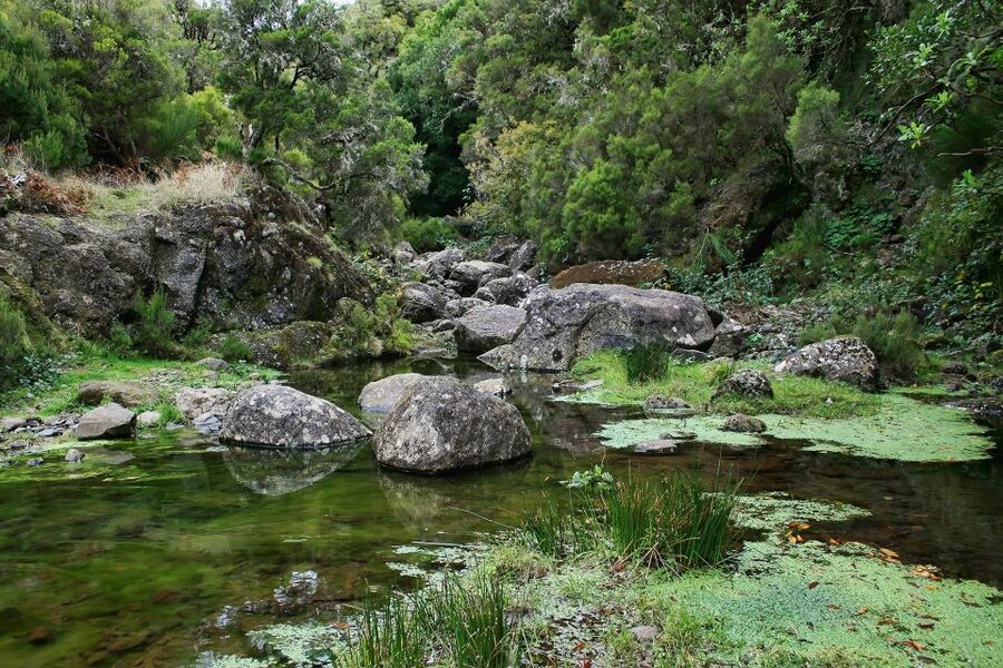 Madeira Walks - Rabaçal and the 25 Fountains - The 800-meter tunnel is an unexpected highlight