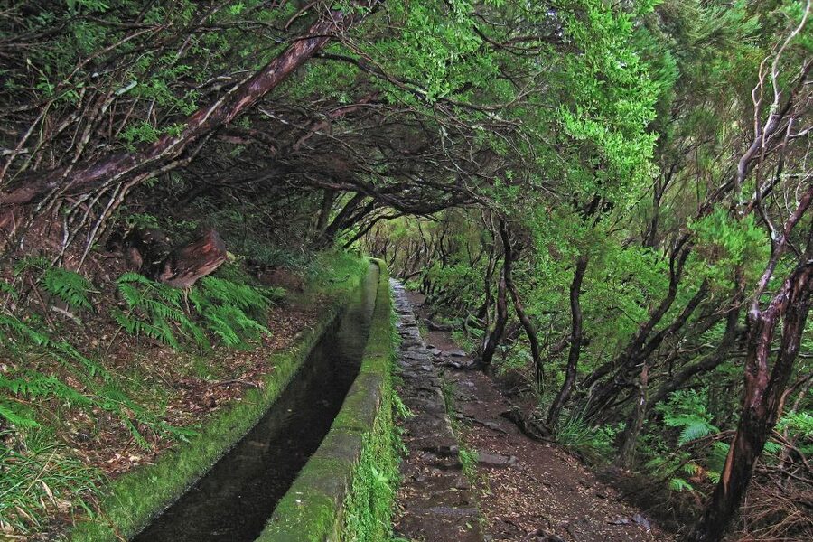Madeira Walks - Rabaçal and the 25 Fountains - The guides are the strongest part of the experience