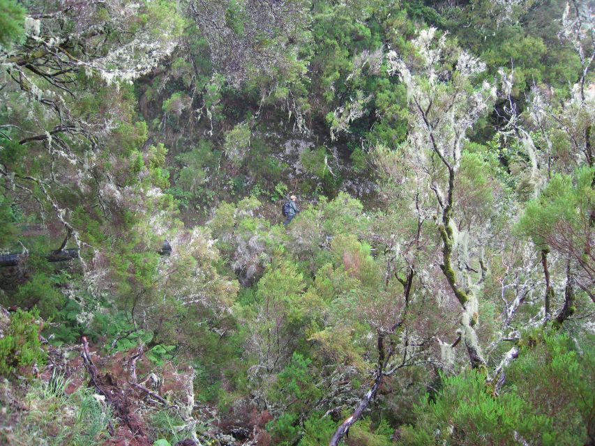 Madeira Walks - Rabaçal and the 25 Fountains - Is $50 a good value?