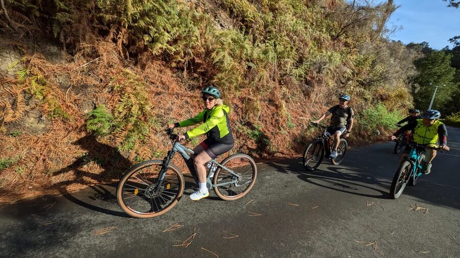 Madeira West coast: Guided Sightseeing E-Bike Tour - Farmhouses, fields, and Madeira’s water system