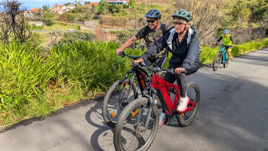 Madeira West coast: Guided Sightseeing E-Bike Tour - The guide, group size, and languages