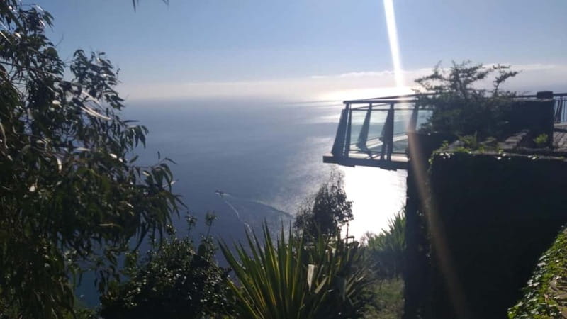 Madeira West Island Full-Day Tour with Fanal Forest - Who should book this west Madeira tour