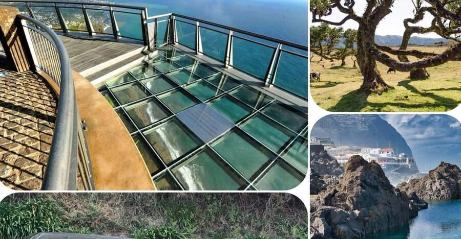 Madeira: West Tour With Guide Fanal Forest SykWalkExperience - Five useful things to know before you book
