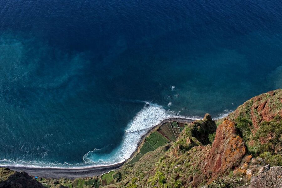 Madeira: Western Madeira Guided Trip & Fanal Mystic Forest - Transport, Timing, and What You Pay For
