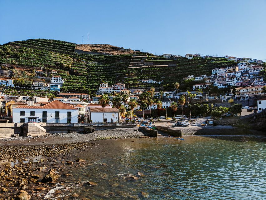 Madeira: Western Madeira Guided Trip & Fanal Mystic Forest - The Guides Make or Break a Seven-Hour Tour