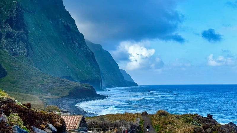 Madeira: Westside Achadas Cruz, Moniz, Seixal and Fanal - Fanal Forest is best when the mist arrives